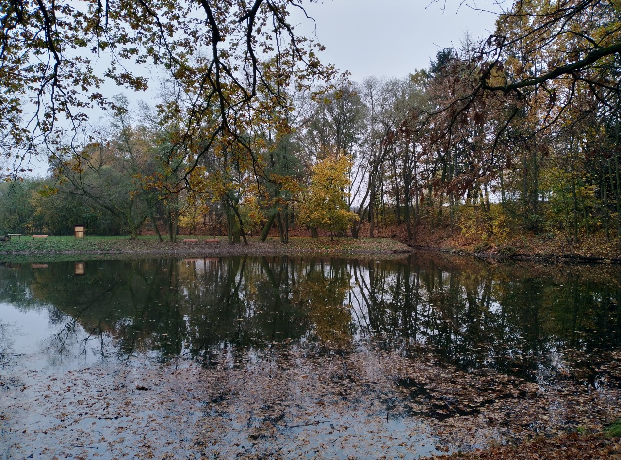 03 – Základní škola Průhonice, okres Praha-západ
